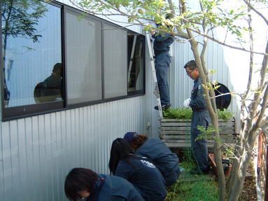 草を抜き、地面をならし、ネットを張り、苗を植えます。 
 
今回はオイスカさんのご協力のもと、植え方、育て方の指導もいただきました。 
 
