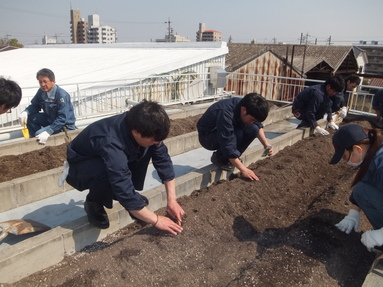 今年はどうかな・・・♪♪ 
 
たくさん食べられるかな・・・（&acute;▽`）人（&acute;▽`） 
 
屋上菜園初体験の新入社員も、期待に胸を膨らませます。 
 
 
******************** 
 
4月。 
いろいろな事が新しくスタートするこの季節。 
 
新たな芽の成長を見守りながら、当時の自分に思いを馳せ 
初心にかえって一緒に成長していきたいですね☆ 
 
 
